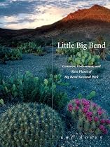 Little Big Bend: Common, Uncommon, and Rare Plants of Big Bend National Park (Grover E. Murrray Studies in the American Southwest)