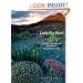 Little Big Bend: Common, Uncommon, and Rare Plants of Big Bend National Park (Grover E. Murrray Studies in the American Southwest)