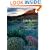Little Big Bend: Common, Uncommon, and Rare Plants of Big Bend National Park (Grover E. Murrray Studies in the American Southwest)