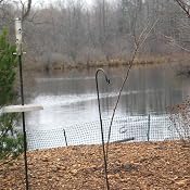Cornell Ornithology Lab, Ithaca, New York, Part II: Audio Journeys Goes Behind the Scenes | [Patricia L. Lawrence]