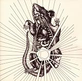River Bear Your Bones