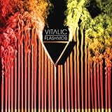 Flashmob by Vitalic (2009-11-03)【並行輸入品】