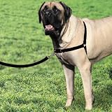 Premier Easy Walk Dog Harness, Black, Extra Large (Misc.)