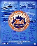 New York Mets Greats Multi Signed Autographed 16x20 Photo (49 Signatures) Tom Glavine & David Cone PSA/DNA