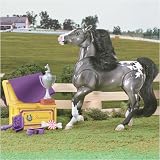 Review Breyer 7074 / Pony Gals Jasmine - Black Appaloosa