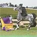 Reeves (Bryer) Int'l Pony Gals Jasmine