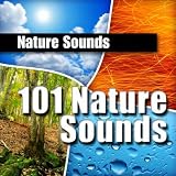 nature sounds 101 Nature Sounds