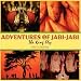 Book Adventures of Jabi-Jabi: The King Fly
