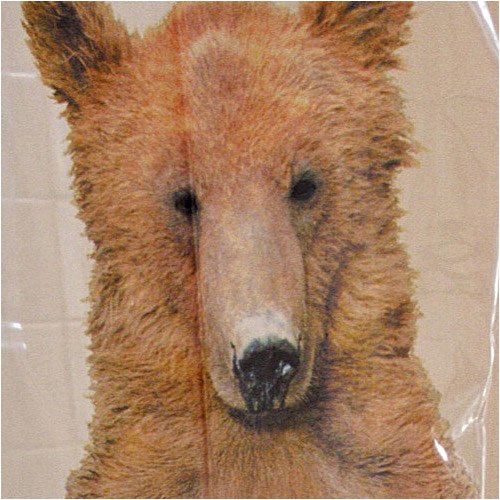 Yoga Bears Vinyl Shower Curtain - 70