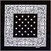 Black Paisley Bandannas - 12 Pack