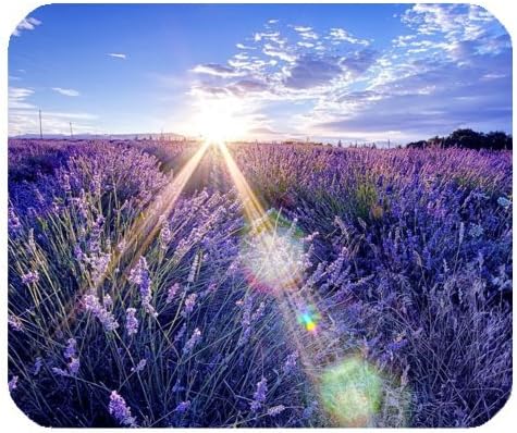 Summer Morning Shine On The Levender Field for Rectangle Mouse Pad Gaming Mousepad