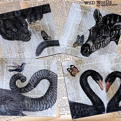 ZoOLoGy 101 Handmade Glass 4 or 5 Inch Square Coaster Set from Upcycled Dictionary page book art - WilD WorDz Collection - Panther, Zebra, Elephant and Swan Beveled Glass Drinkware Coasters