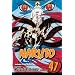 Naruto, Vol. 47: The Seal Destroyed