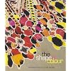 Shape Of Color: Excursions In Color Field Art, 1950-2005, The