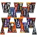 NFL Football Mini Pennants Collector Set (32)