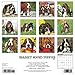 Just Basset Hound Puppies 2017 Wall Calendar (Dog Breed Calendars)