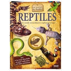 Reptiles