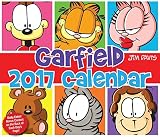 Garfield 2017 Day-to-Day Calendar