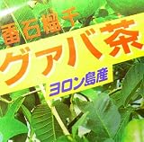 グァバ茶＜与論産＞