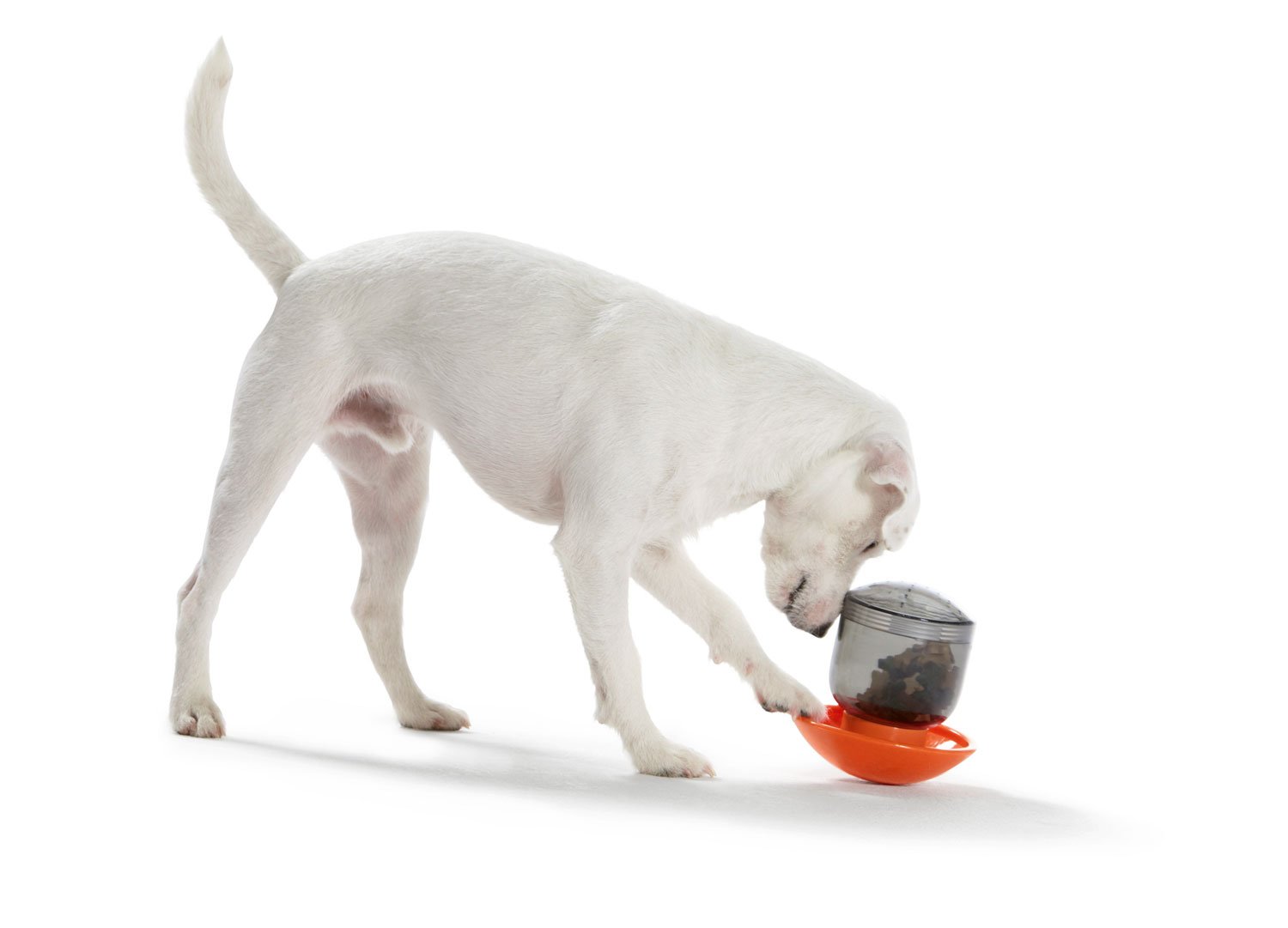 Pet Dog Puppy Treat Dispenser Feeder Toy Automatic Dispensing Brand New