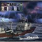 Bermuda Triangle