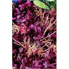 Poster 60 x 90 cm - "Vegetable for sale at street market - Calcutta, West Bengal" von Richard I'Anson / Lonely Planet Images - auch in anderen Gr��en und als Leinwandbild erh�ltlich