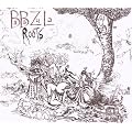 Roots