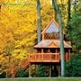 Longwood Gardens 2011 Wall Calendar