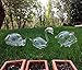 Set of 3 Hand Blown Clear Glass Self Watering Aqua Globes in Different Shapes of Ladybug, Swan and Pig.