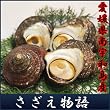 愛媛県南宇和島産「豪華活海の幸ギフト サザエ物語（サザエ・扇貝・真珠貝）」プレゼントギフト贈り物お歳暮
