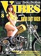 VIBES (バイブス)2008年 08月号 [雑誌]