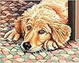 Dimensions 11-Inch by 14-Inch Paint by Number Kit, Dog Tired
