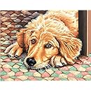 Dimensions 11-Inch by 14-Inch Paint by Number Kit, Dog Tired