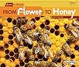 From Flower to Honey (Start to Finish, Second (Paperback))