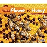 From Flower to Honey (Start to Finish, Second (Paperback))