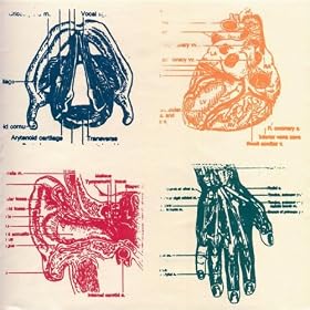 Vena Cava