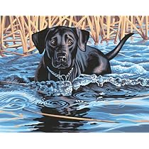 Paint by Number Cold Water, Warm Heart