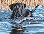 Dimensions Needlecrafts Paintworks Paint By Number, Cold Water, Warm Heart