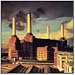 Animals (Ltd.Ed)