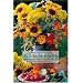K�stliche Bl�ten. Rezepte aus dem Kr�uter- und Blumengarten (Edition Ellert und Richter) (Edition Ellert und Richter)