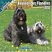 Bouvier des Flandres (US) 2010 Wall Calendar #10120-10