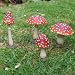 Set Of Four Coloured Resin Mushroom or Toadstool Garden Ornaments