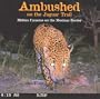 Ambushed on the Jaguar Trail