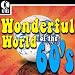 The Wonderful World of the 60's - 100 Hit Songs