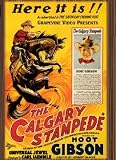 The Calgary Stampede