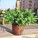 Gogogo 1X Artificial Fake Green Plant Eucalyptus Yard Home Planter D¨¦cor Outdoor Decoration
