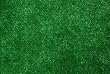 Indoor/Outdoor Green Artificial Grass Turf Area Rug 6'x8'