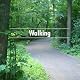 Walking