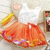 BAOHULU ベビー　女の子用 6色揃い チュチュドレス ワンピース フォーマルドレス　袖無し 巻き花　パールビーズ付き　ふわふわ　チュールスカート付き　プリンセススカート　P077_Orange_