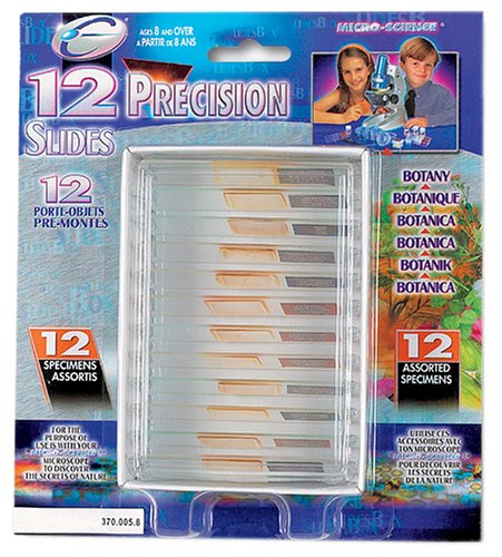 Childrens Toyshop  Spielwaren : Idee+Spiel 376 01031 - Objektträger für Mikroskope